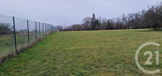 terrain à vendre - 3000.0 m2 - SAMPANS - 39 - FRANCHE-COMTE - Century 21 Avenir Immobilier