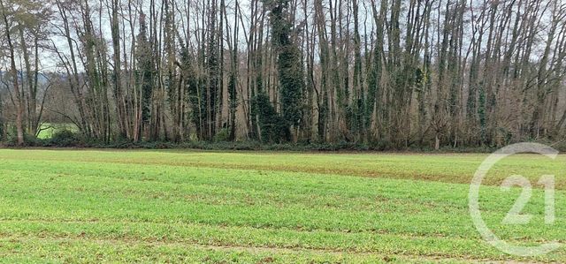 terrain à vendre - 1712.0 m2 - BILLEY - 21 - BOURGOGNE - Century 21 Avenir Immobilier