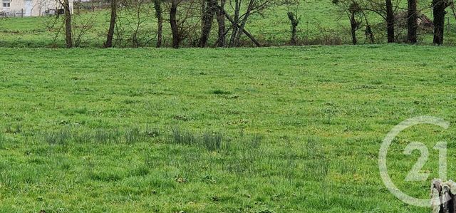 terrain à vendre - 1441.0 m2 - BILLEY - 21 - BOURGOGNE - Century 21 Avenir Immobilier